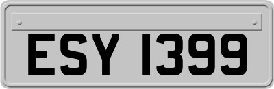 ESY1399
