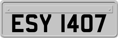 ESY1407