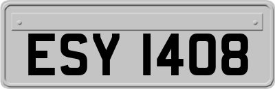 ESY1408