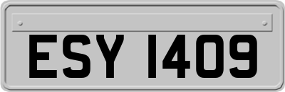 ESY1409