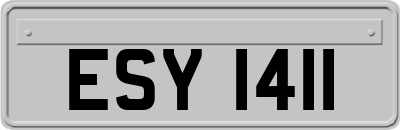 ESY1411