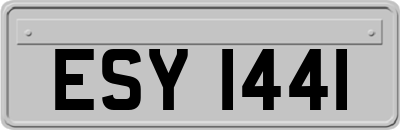 ESY1441