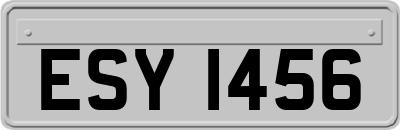 ESY1456