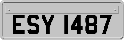 ESY1487
