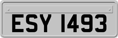 ESY1493