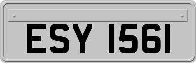 ESY1561
