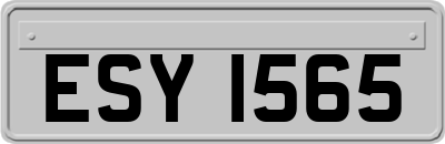 ESY1565