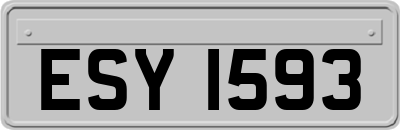 ESY1593