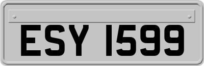 ESY1599