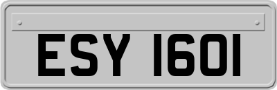 ESY1601