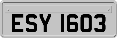 ESY1603
