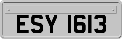 ESY1613