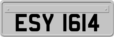 ESY1614