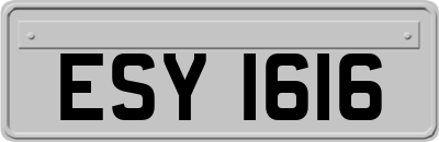 ESY1616