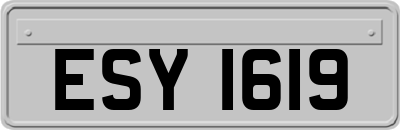 ESY1619