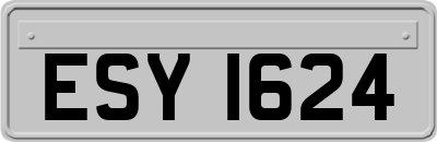 ESY1624