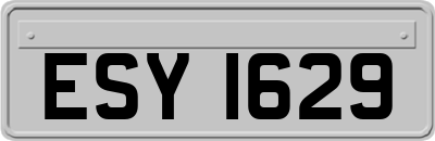 ESY1629