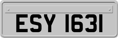ESY1631