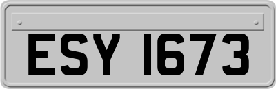 ESY1673