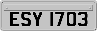 ESY1703