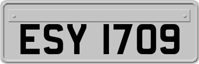 ESY1709