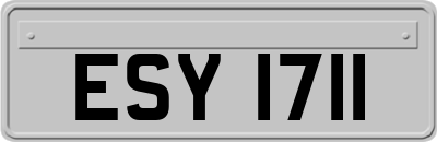 ESY1711