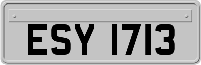 ESY1713