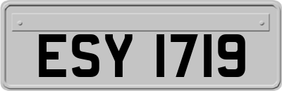 ESY1719