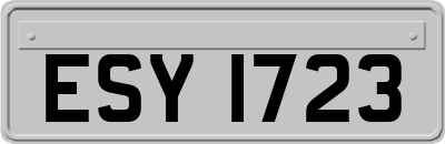 ESY1723