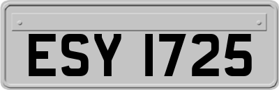 ESY1725
