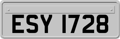 ESY1728