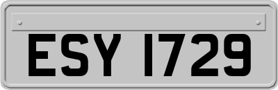 ESY1729