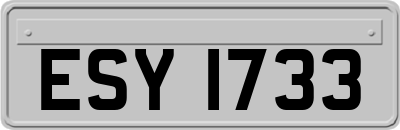 ESY1733
