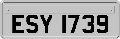 ESY1739
