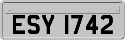 ESY1742