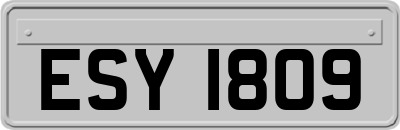 ESY1809