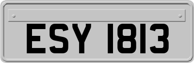 ESY1813