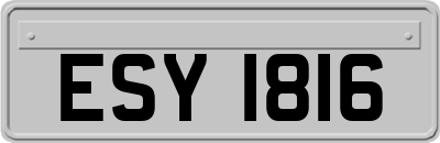 ESY1816
