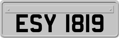ESY1819