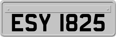 ESY1825