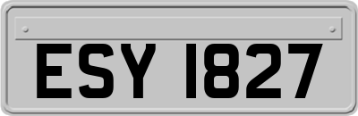 ESY1827