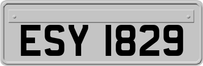 ESY1829