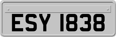 ESY1838
