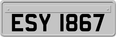 ESY1867