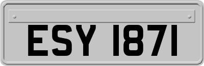 ESY1871