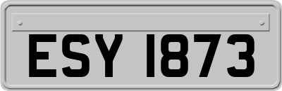 ESY1873