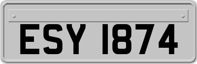 ESY1874