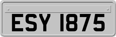ESY1875