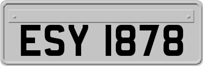 ESY1878