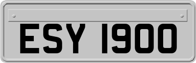ESY1900